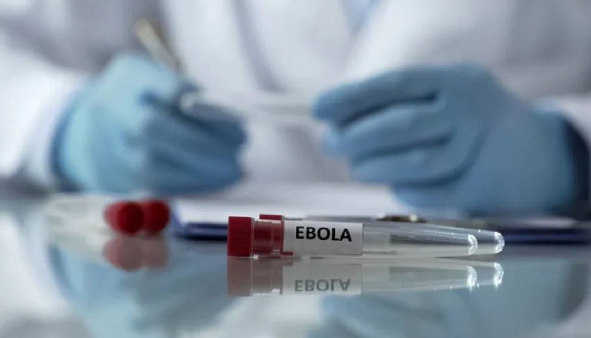 Ebola salgınında vaka sayısı 8 bin 978'e yükseldi